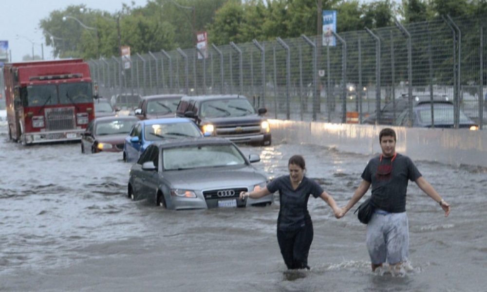  Car stores flooded with clients